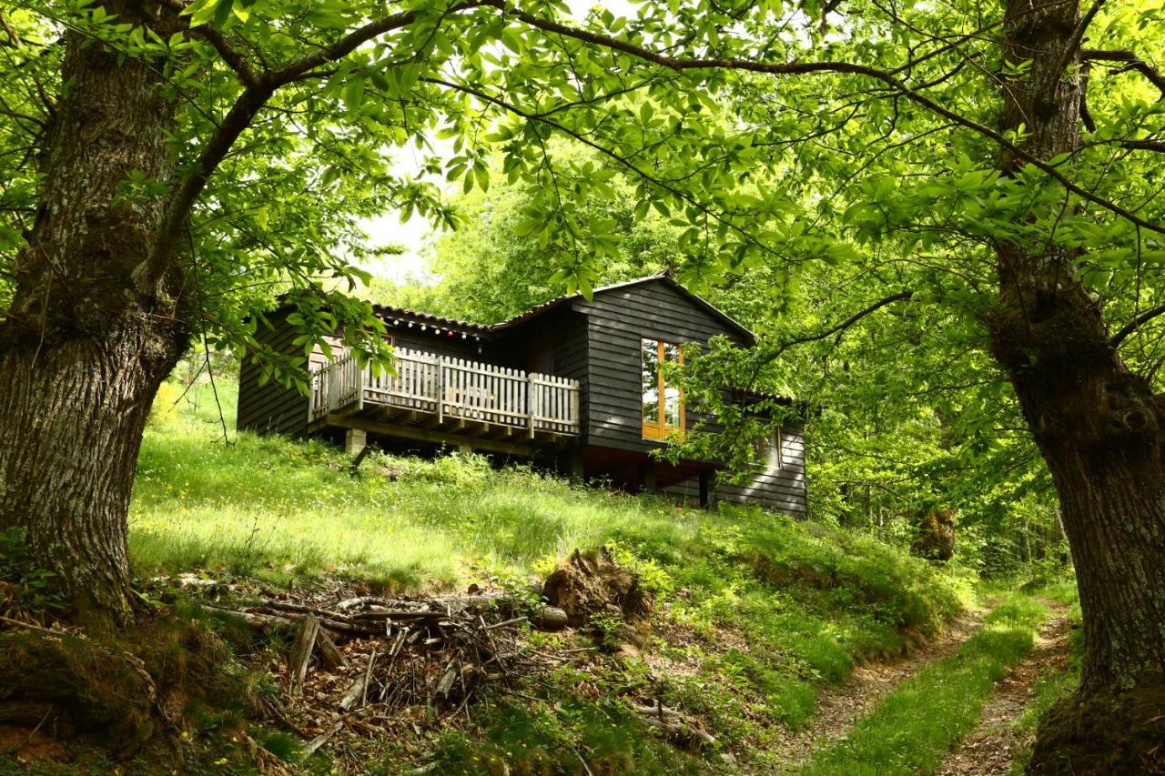 Les Grangeonnes, Gites Nature, Piscine, Bain Nordique, Sauna Pour Accueil Familiale Ou De Groupe Saint-Basile Exteriör bild